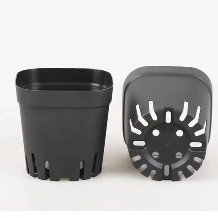 Pots de démarrage carrés noirs pour semis, 50 pièces, pots de pépinière, kit de jardinage pour semis de fruits