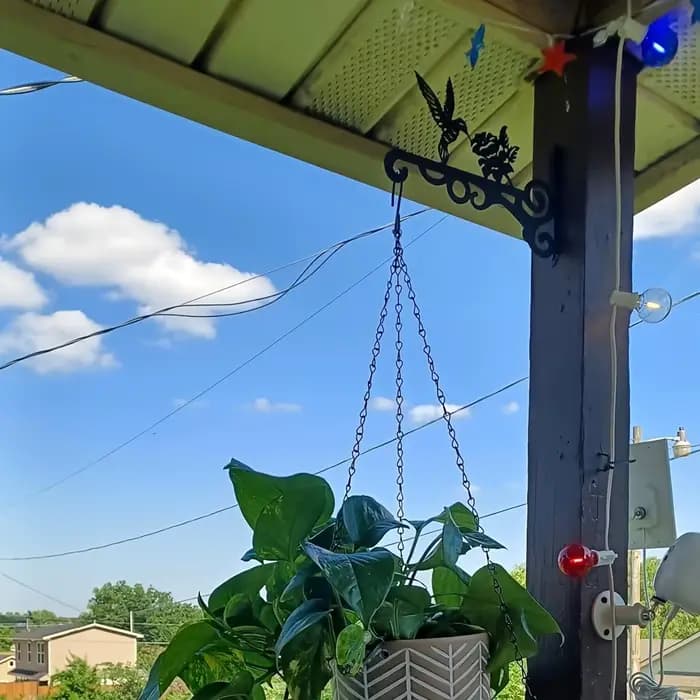 Cintre pour plantes en métal noir, 2 pièces, avec 3 oiseaux et feuilles, robuste, facile à installer