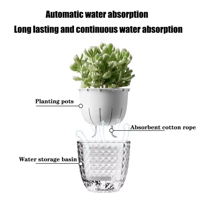 Pot de fleurs auto-arrosage automatique absorbant l'eau, Pot de fleurs Transparent Double couche en