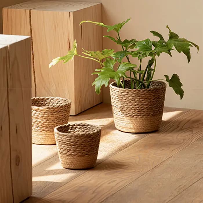 Panier de rangement en rotin tressé pour plantes