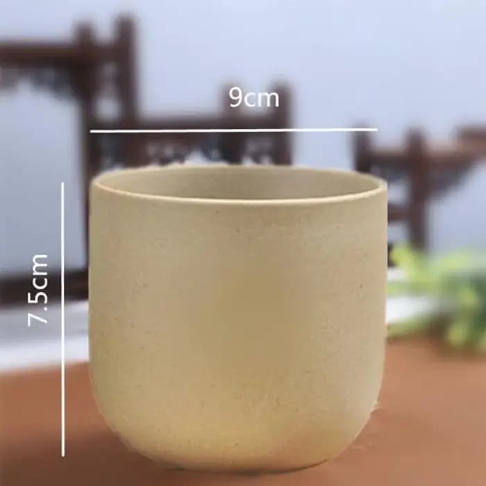 Pot de plante succulente en poterie grossière rétro