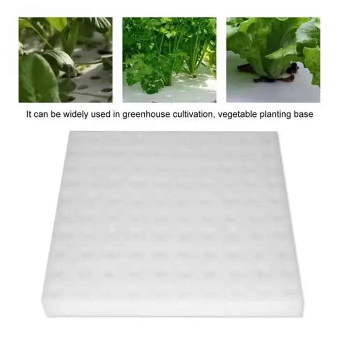 Culture hors sol plantation coton hydroponique semis jardin pépinière éponges plante légumes culture