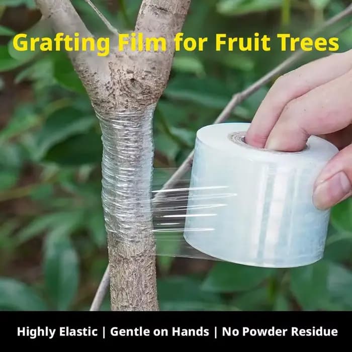 Ruban de greffage auto-adhésif extensible pour arbres fruitiers, plantes de pépinière, semis, vignes