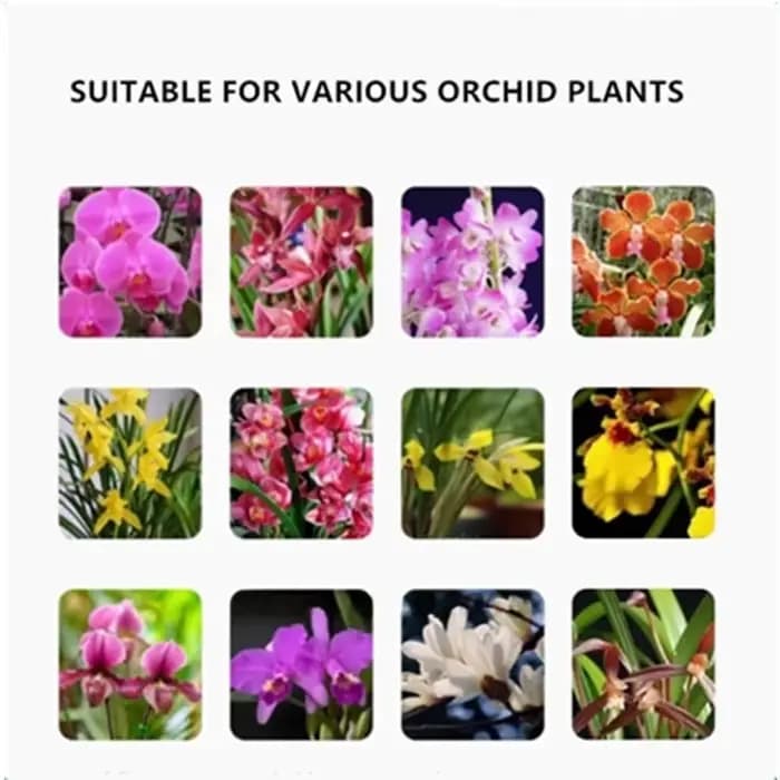 80g/200g Engrais à libération contrôlée spécifique aux orchidées : formule