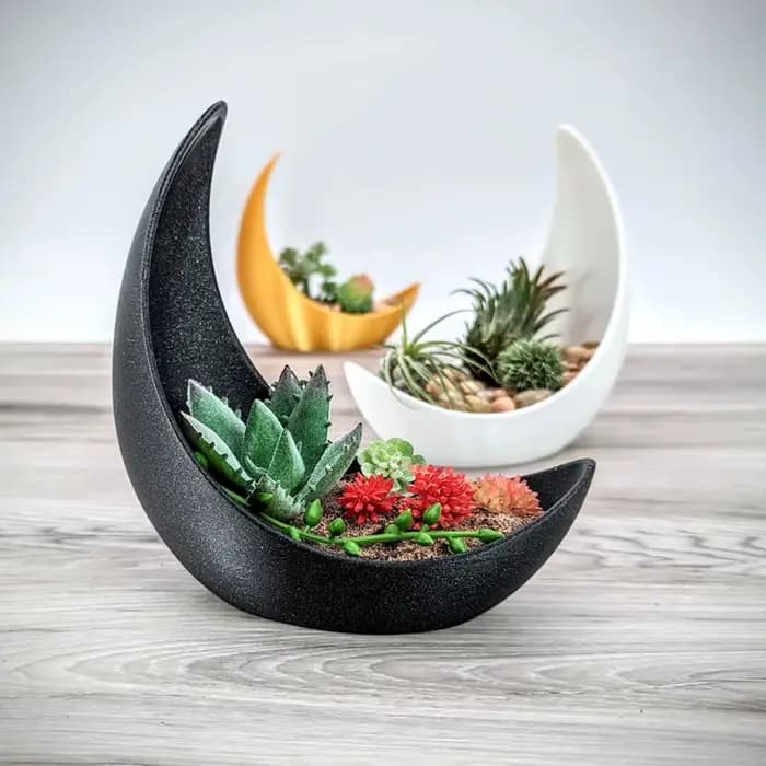 Pots de fleurs en forme de lune, décoration de maison moderne, plantation de plantes succulentes, améliorant la beauté spatiale, une qualité de vie indispensable.