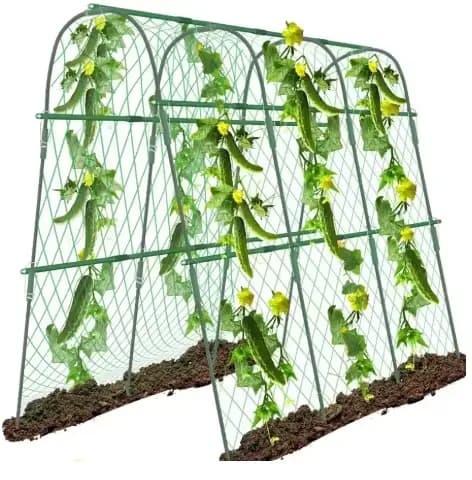 Arche de jardin extérieure verte, support de plantes facile à assembler, treillis de support pour pl