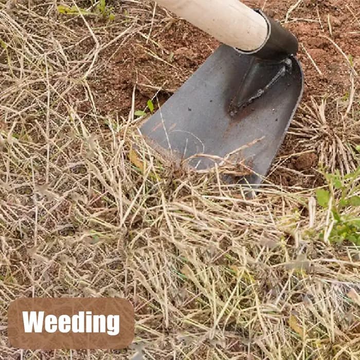 Tête de remplacement robuste pour houe de jardin