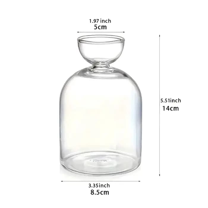 Vase hydroponique transparent en verre pour semis d'avocat