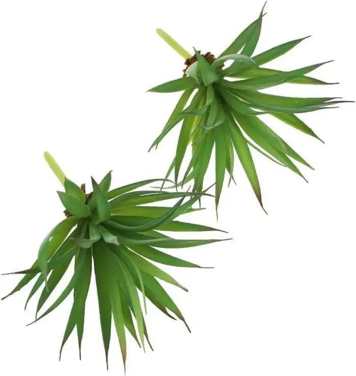 2 Pièces de Plantes Artificielles Succulentes Yucca Vera