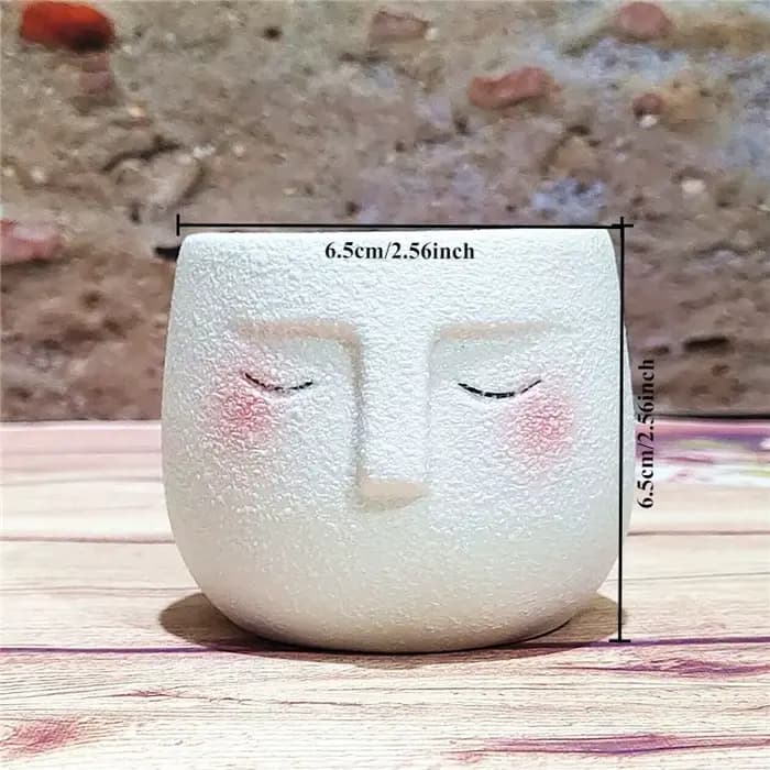 Pot de fleurs en céramique en forme de visage de dessin animé, joli pot à succulentes, décoration cr