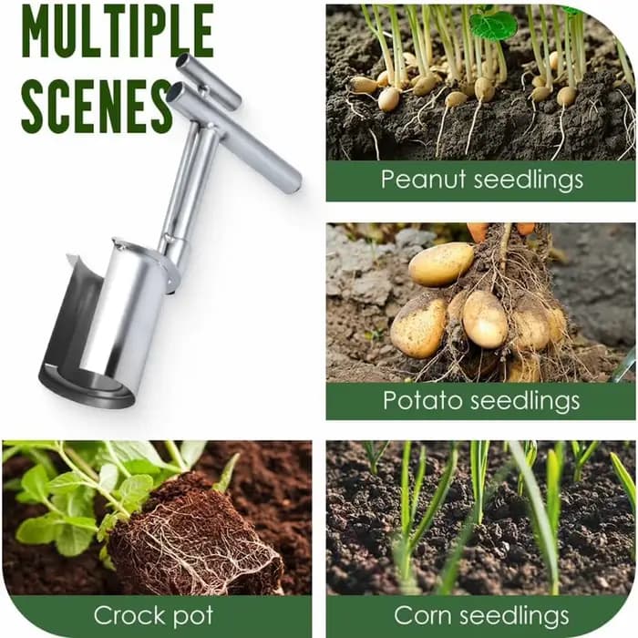 Outil de transplantation de plantes, transplantateur de semis de plantes et d'arbres fruitiers pour la plantation de tulipes, de jonquilles, d'oignons Dahlias