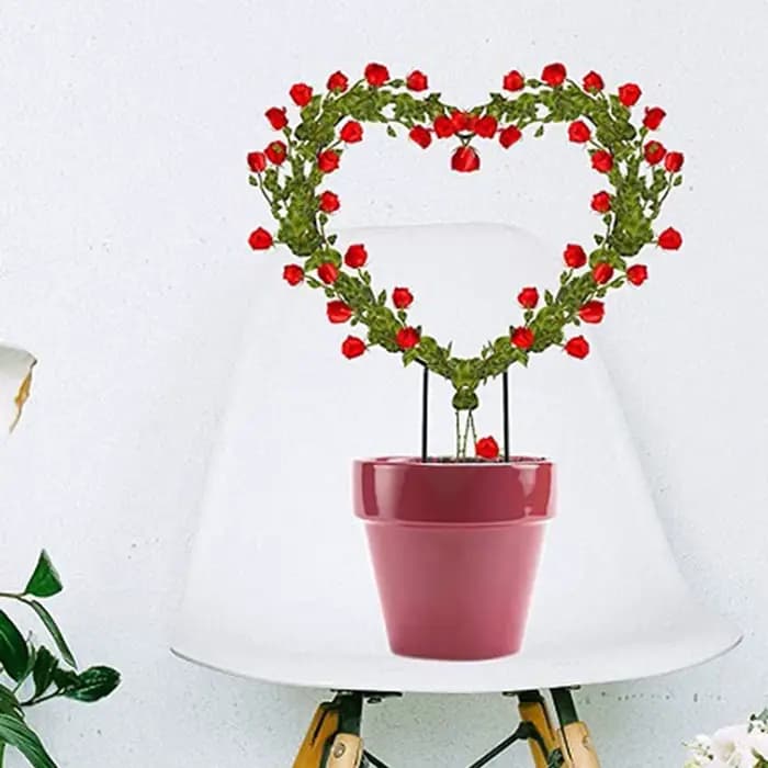 Support de plante grimpante en fer pour plantes grimpantes, avec revêtement antirouille noir pour fl