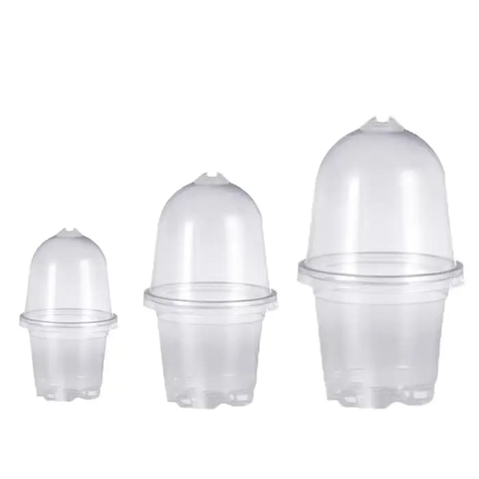 Pots transparents pour pépinière de plantes en PET avec couvercles