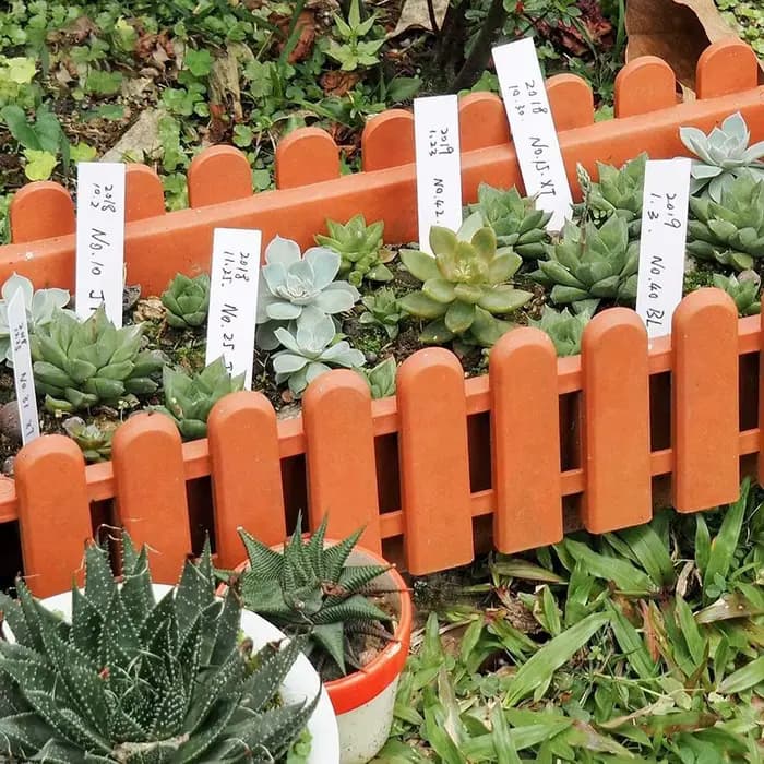 Étiquettes de plantes blanches en forme de T, 100 pièces, étanches, en plastique, pour jardin, jardi