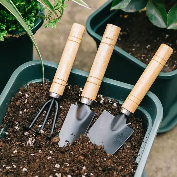 Mini kit d'outils de jardinage de bureau – Ensemble de 3 petits outils à main (truelle et râteau) pour plantes en pot