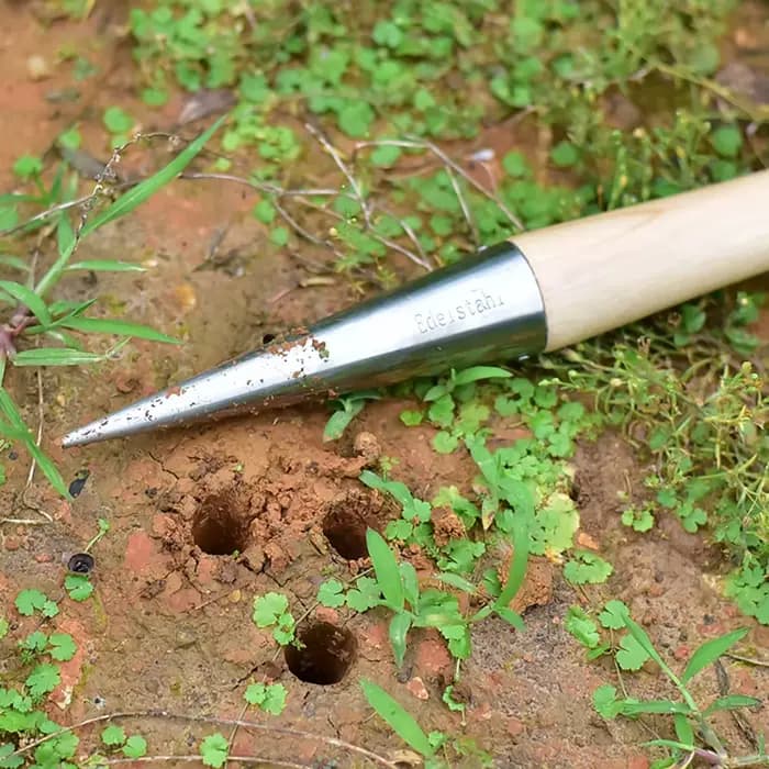 Outils de jardinage en bois pour la plantation de graines et d'ampoules