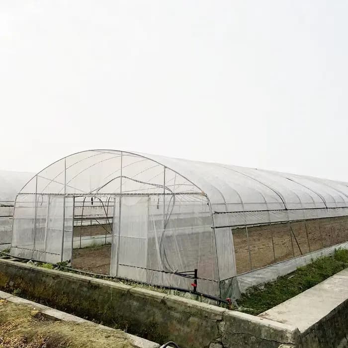 Grande serre tunnel en film plastique à simple portée pour les semis, les légumes et les jardins de