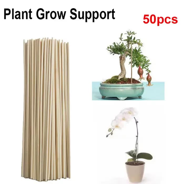 Lot de 50 bâtons de support en bambou pour plantes, pour fleurs et canes