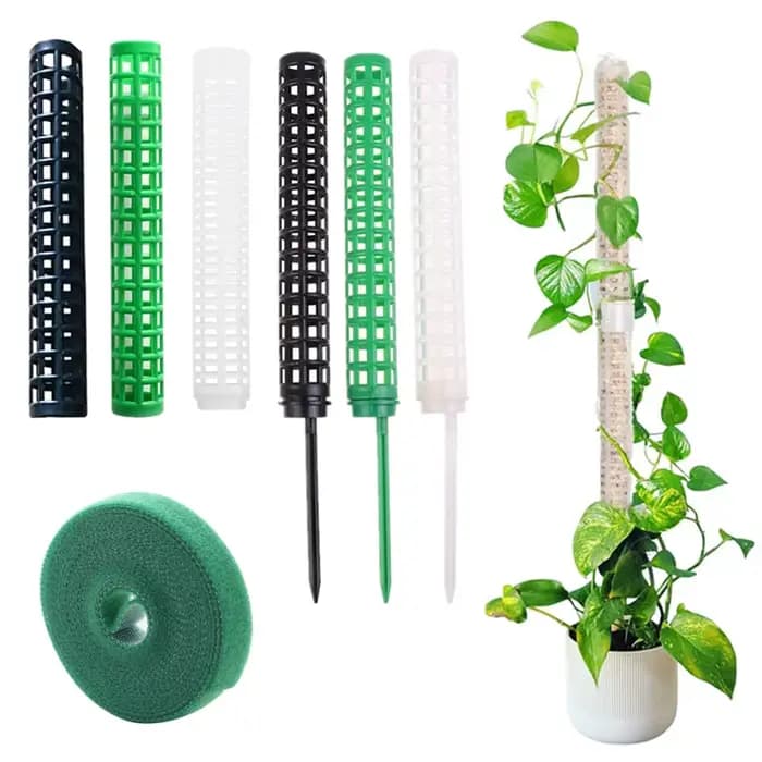 Bâton d'escalade pour plantes, Support pour plantes sphagnes, cadre en treillis, colonne de mousse d