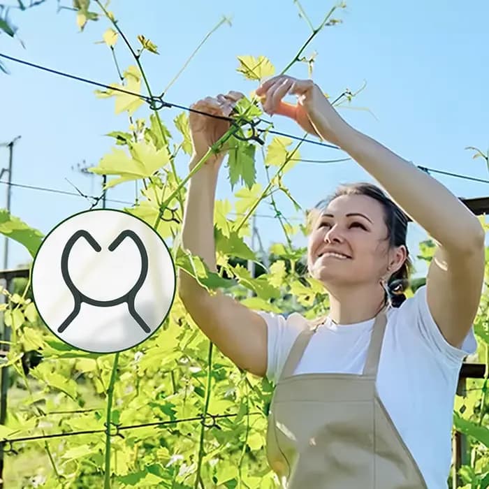 Clips de cerclage de vigne de jardin en plastique, anneau de boucle groupé pour plantes, crochet de