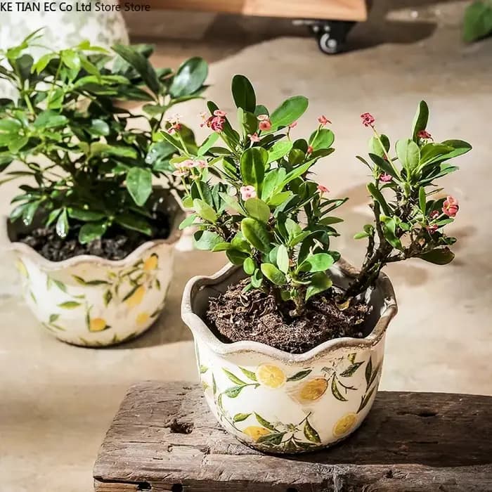 Pot de fleur en céramique en forme de citron Pot succulent Vintage Pot de plante