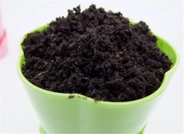 Fleurs et légumes organiques pour le sol et les nutriments du sol respirants