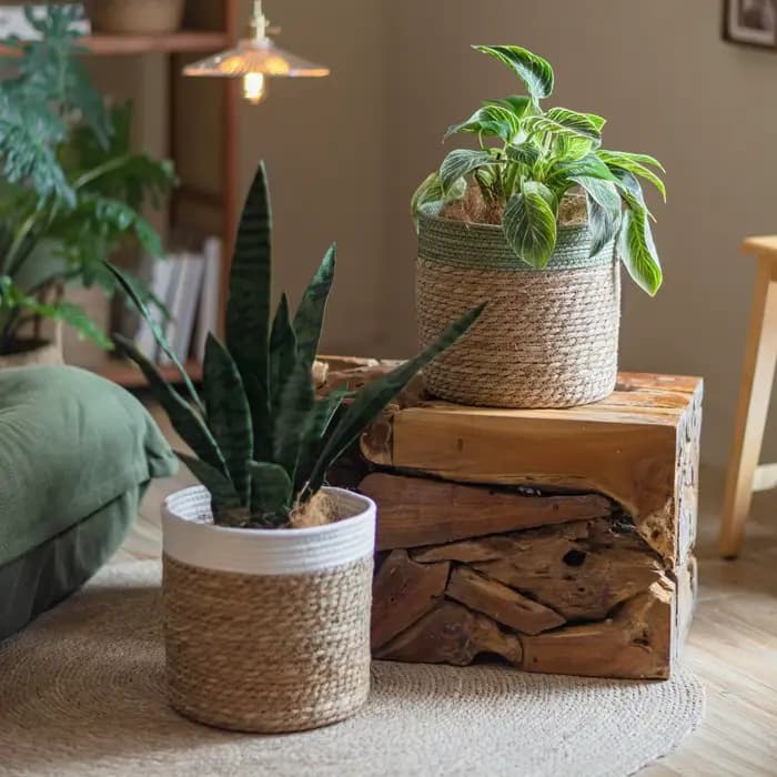 Panier de rangement en paille naturelle - Pot de fleurs tressé pour décoration