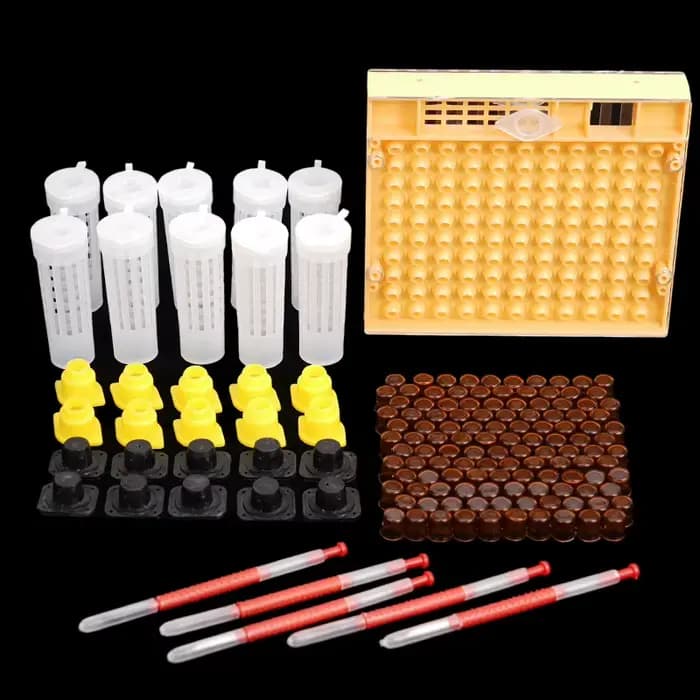Kit d'apiculture Nicot Queen, équation, élevage, greffe en plastique, larve, stylo, rouleau à cheveu