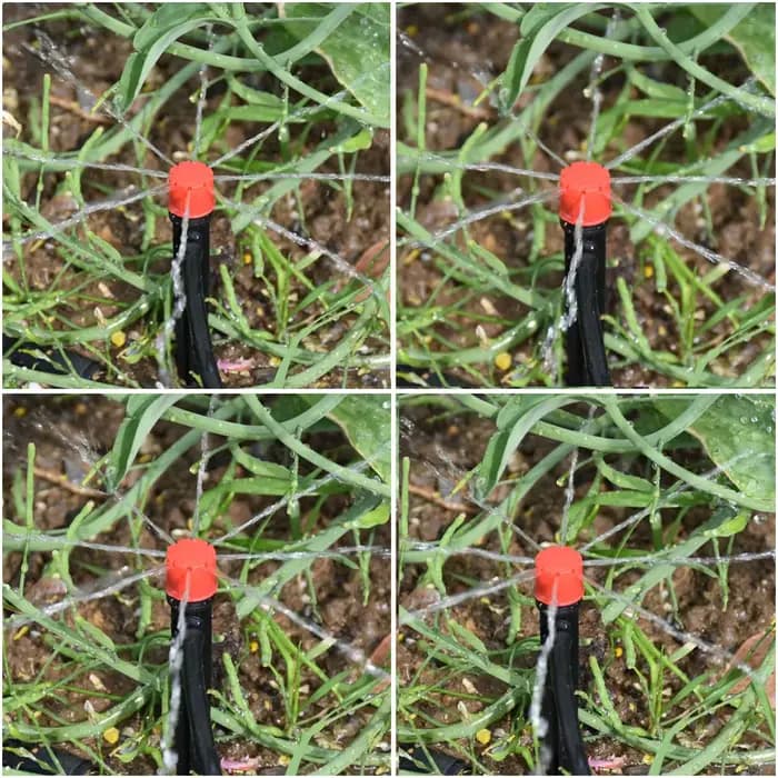 Système d'arrosage automatique de jardin 5-50M, minuterie de bricolage, système d'irrigation goutte-
