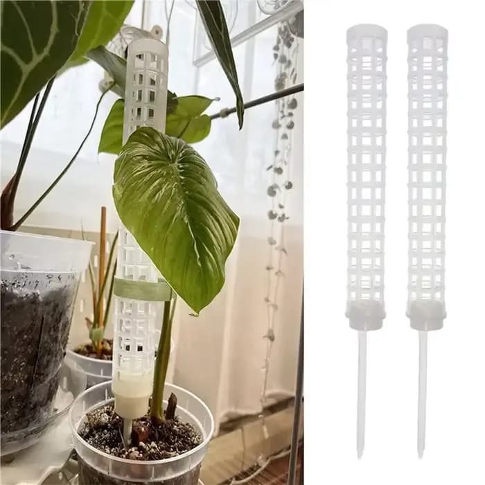 Bâton de support en treillis pour plantes, poteau de mousse en plastique, support pour Pot de plante