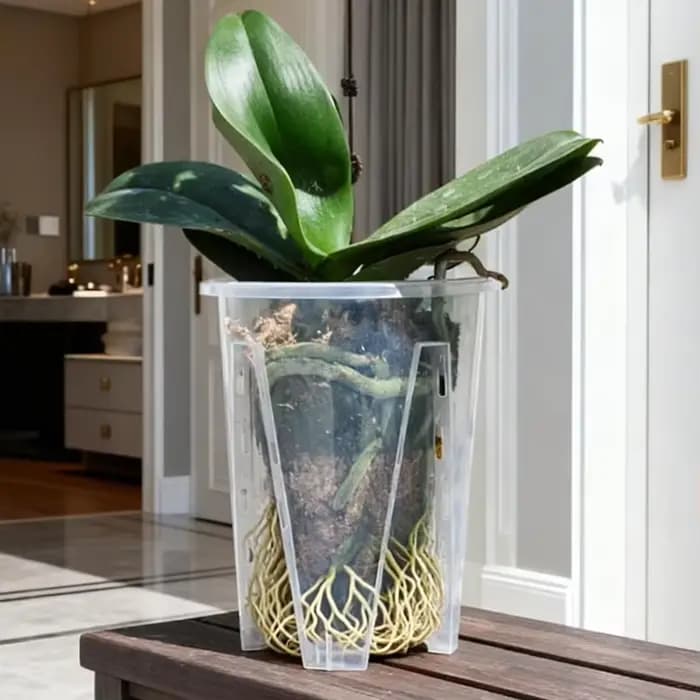 Pots à orchidées avec stémodes, respirants et à fentes, pour le jardinage et le contrôle des racines, pour Phalaenopsis, plantes feuillues et succulentes (1 à 4 pièces)