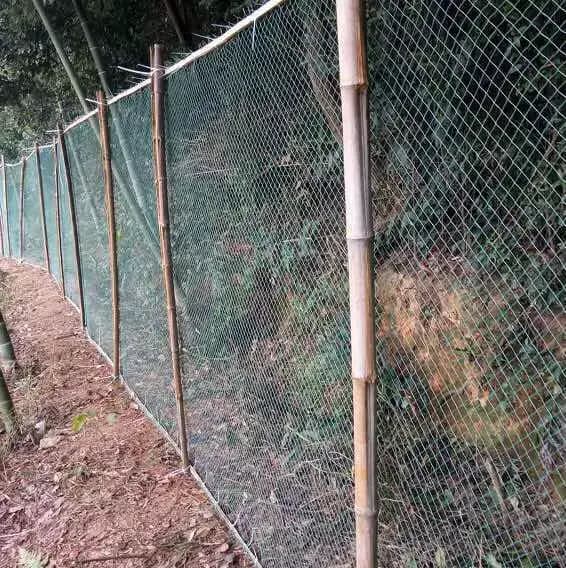 Filet anti-oiseaux robuste, clôture et cultures de jardin, clôture de protection, maille anti-oiseau