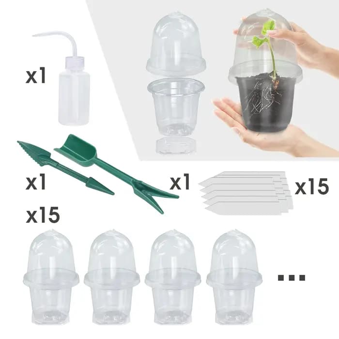 Un ensemble de plantes claires visibles