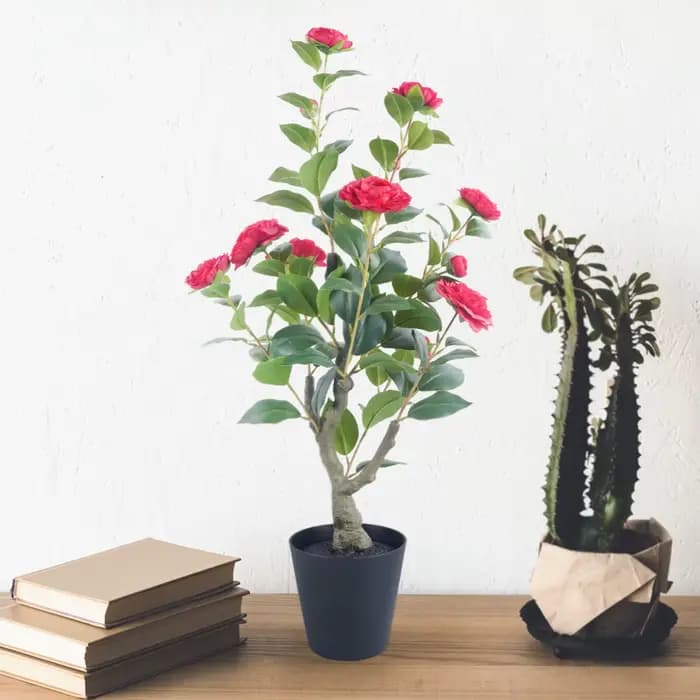 Arbre topiaire Camélia de 85 cm avec pot/support
