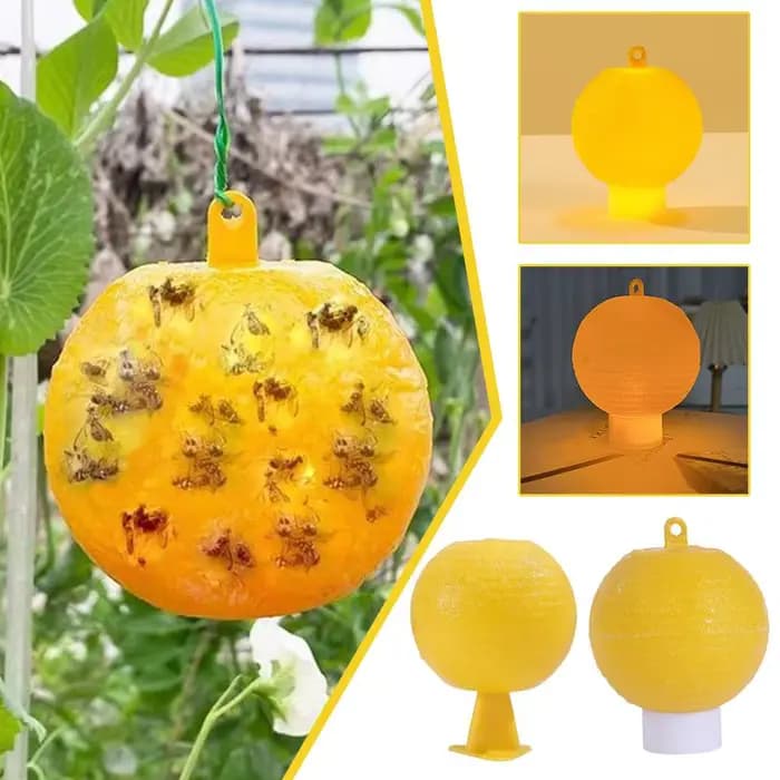 Pièges à mouches fruitiers avec sphères adhésives pour se baigner