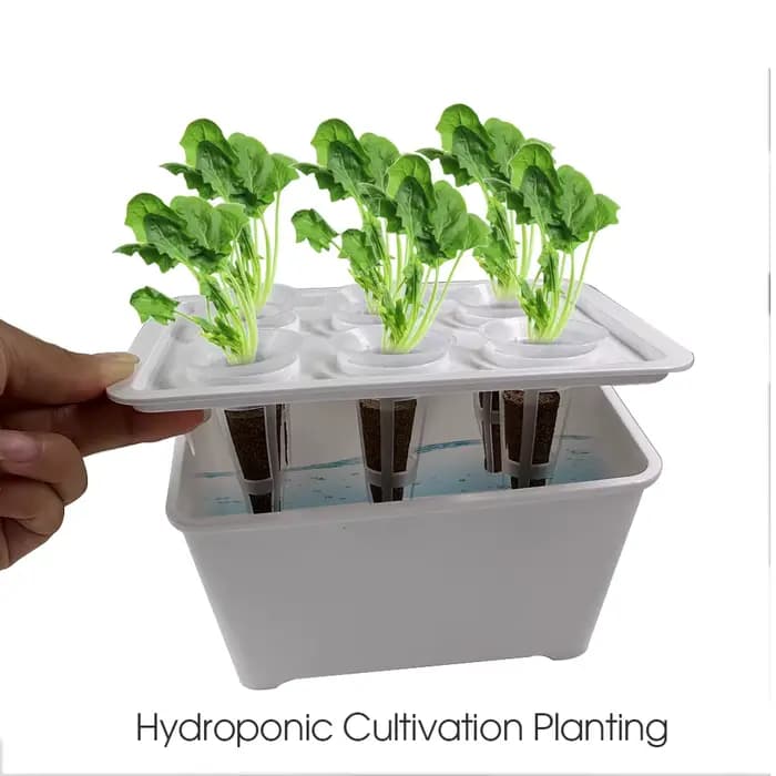 Système de culture hydroponique blanc/noir, boîte hydroponique, Pot de pépinière à 6 trous pour plan