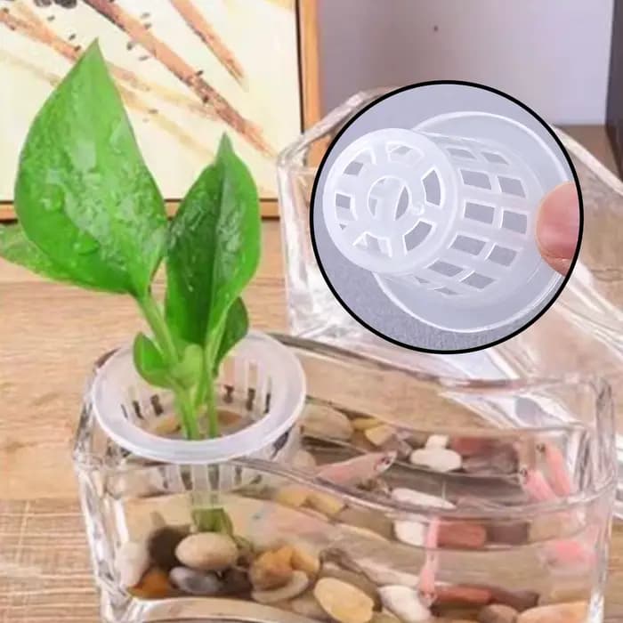 10/50 pièces panier de culture hydroponique conteneur de croissance des plantes jardin tasse à fente