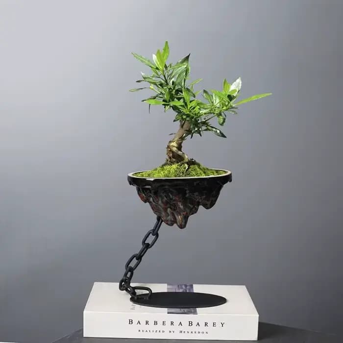 Pot de bonsaï moderne de paysage