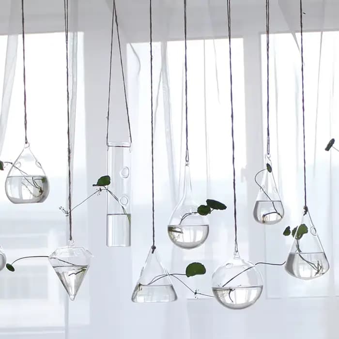 Support en verre transparent pour plantes à fleurs