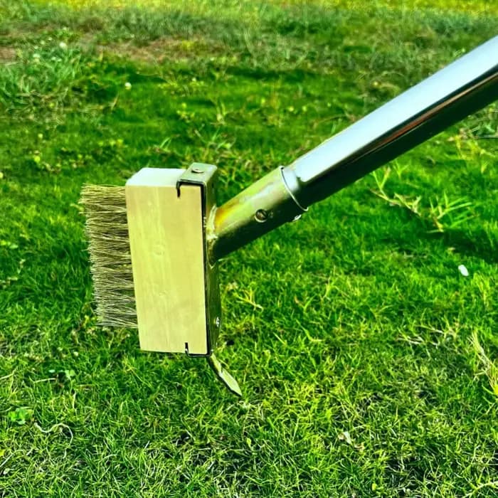 Brosse de désherbage en acier inoxydable