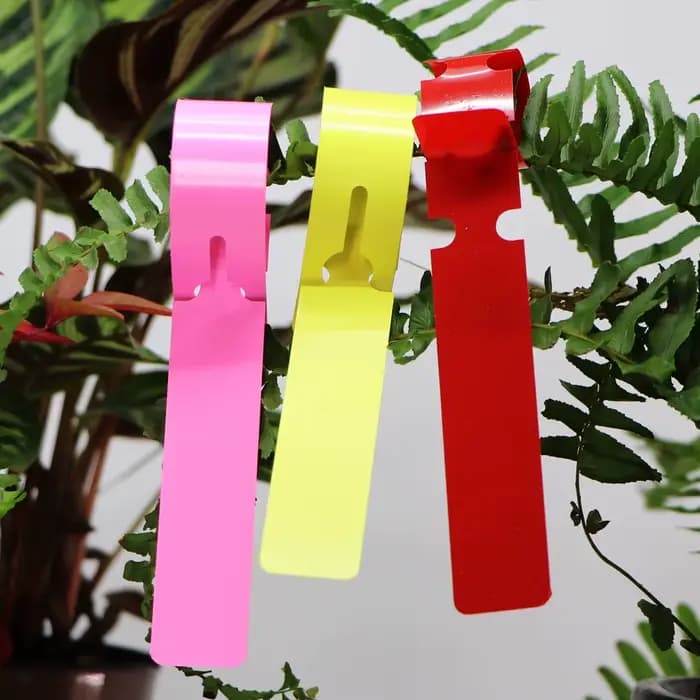 Marqueurs de plantes à anneau rectangulaire de jardin, étiquettes suspendues en pot, carte d'identif