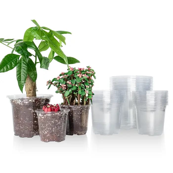 Pots de pépinière transparents de 3.5/4/5 pouces