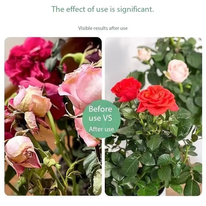 Acide d'amélioration du sol de engrais de fleur de sulfate ferreux de 200g/500g pour la plante de feuillage