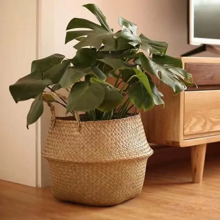 Panier en jonc de mer tissé paniers en osier Pot de plante de stockage pour panier de Pot de plante