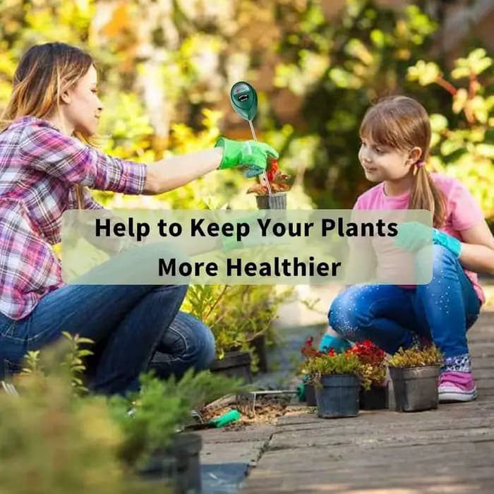 Testeur d'humidité du sol, détecteur d'humidité du sol, hygromètre, outil de mesure pour l'arrosage des plantes, le jardinage à domicile et la culture des fleurs