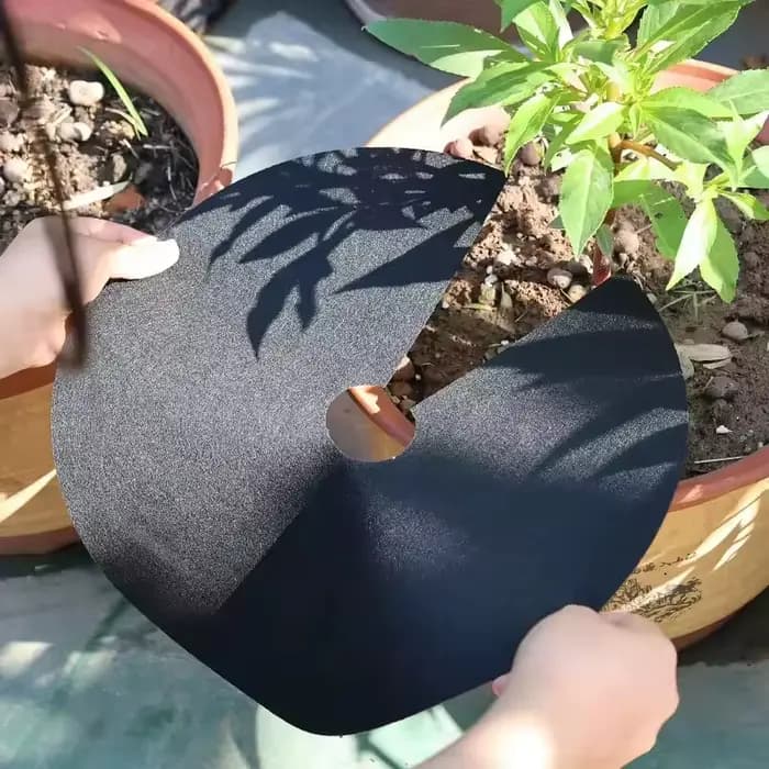 10 pièces Anneaux de paillis en tissu non tissé pour jardinage, barrière pour arbres, protection de