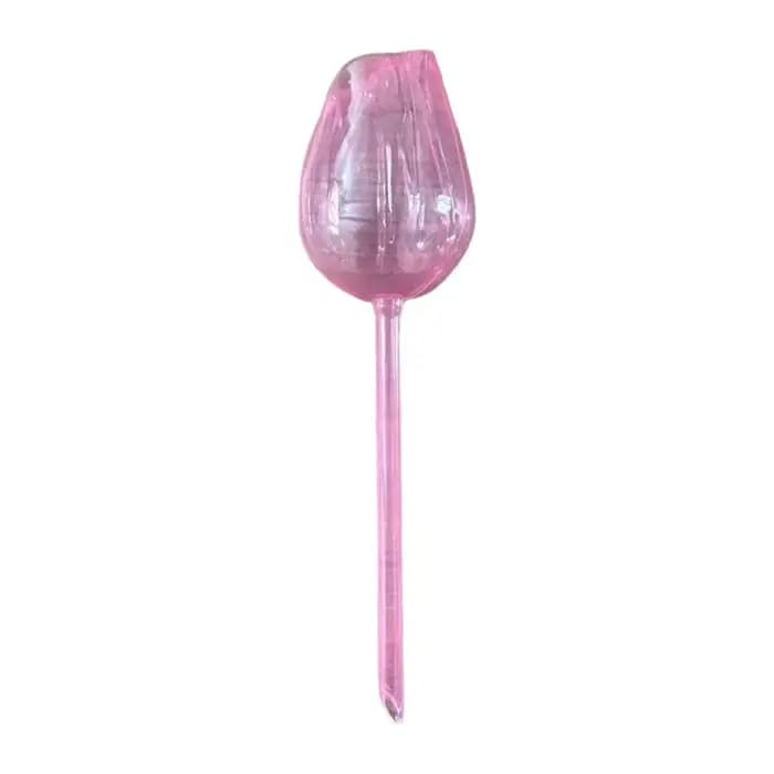 Globes d'arrosage transparents en plastique pour plantes tulipes – Système d'irrigation goutte