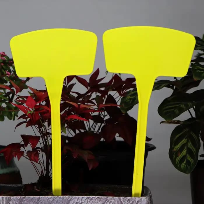 Étiquettes jaunes de Pot de jardin Type T, plaque d'enregistrement étanche d'intérieur et d'extérieu