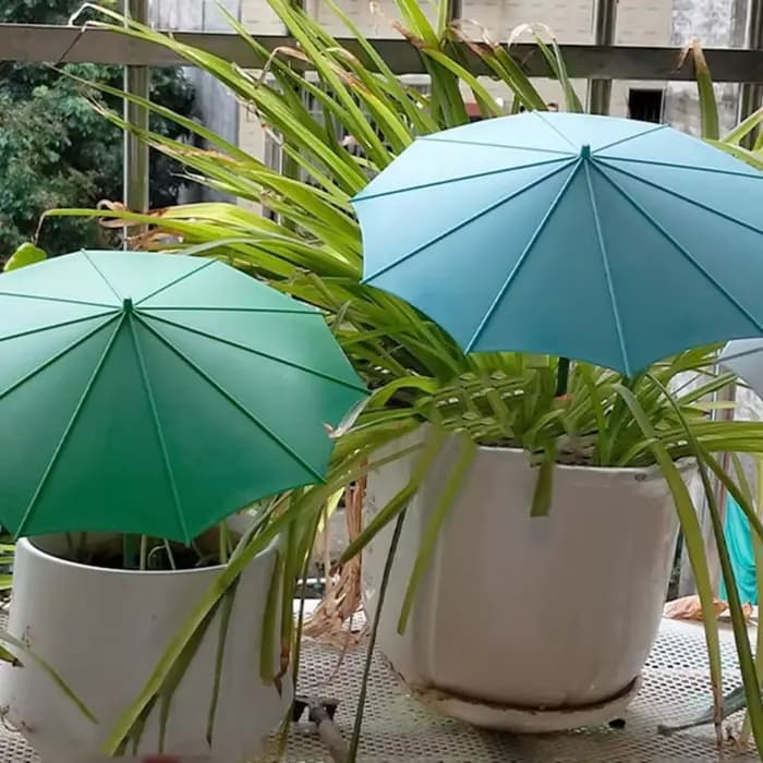 Lot 5 auvents d'ombrage fins pour plantes, pour matelas fleurs buissons en pot, Plan d'organisation rapide B03E