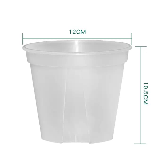 Pots d'orchidées en plastique transparent avec trous